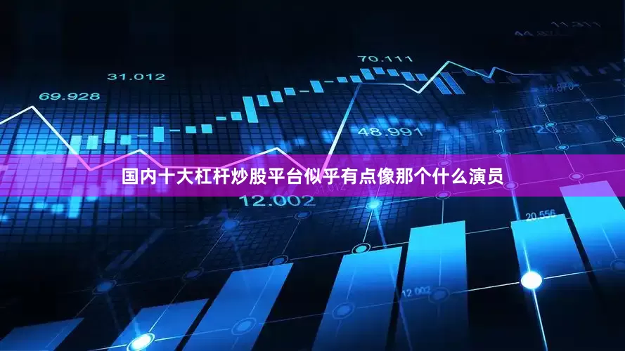 国内十大杠杆炒股平台似乎有点像那个什么演员